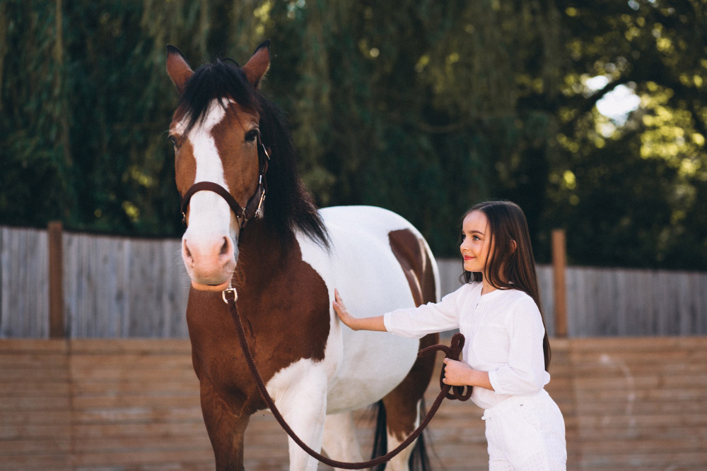 Quand démarrer l’équitation ?