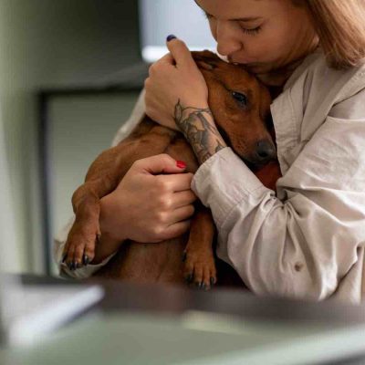 assurance animaux